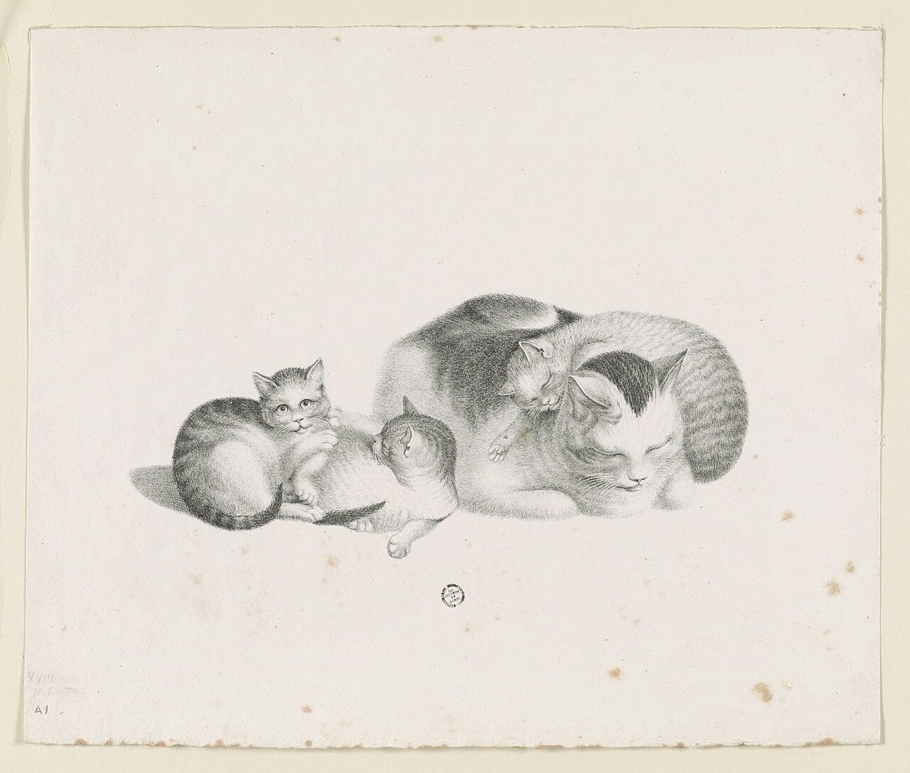 꿈에 고양이 3마리 2