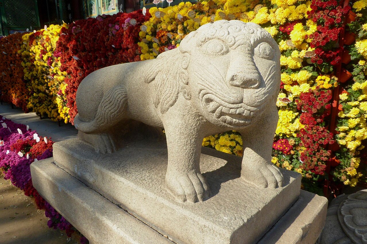 흰사자 꿈 2
