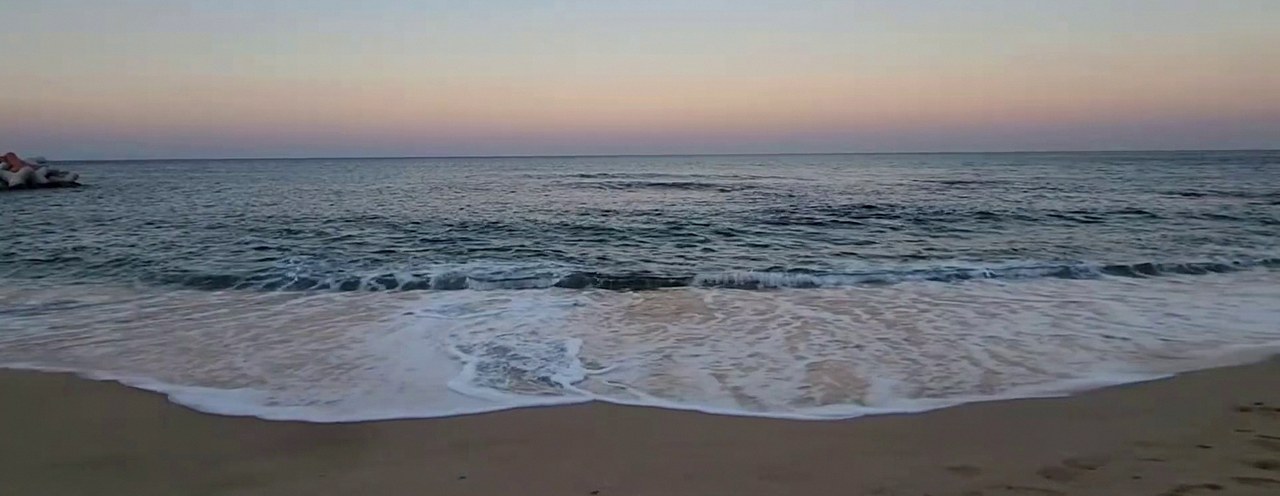 백사 꿈 태몽 성별 4