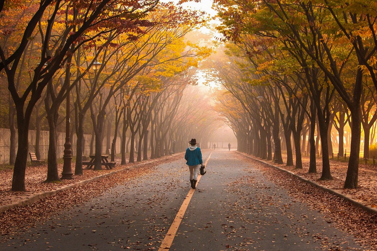 연예인과 데이트하는 꿈해몽 2